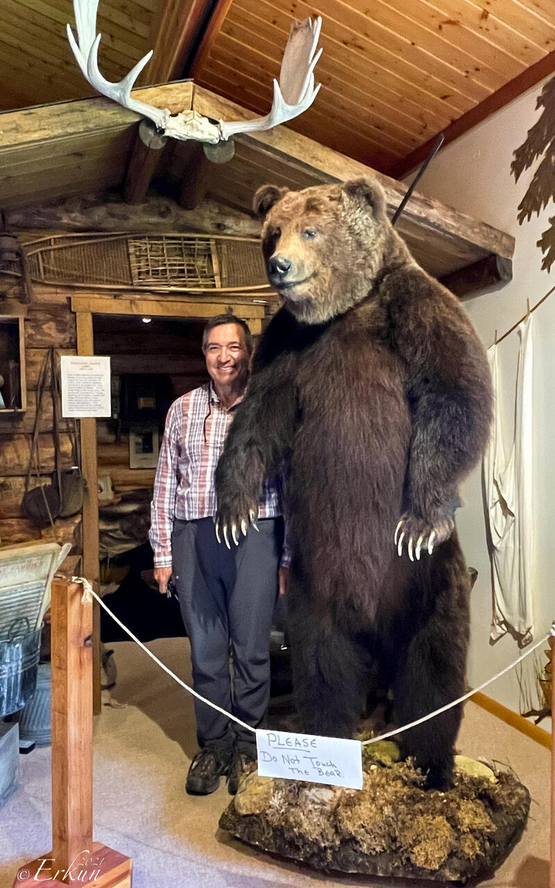 Mui making friends with a grizzly — Circle District Museum in Central, AK.