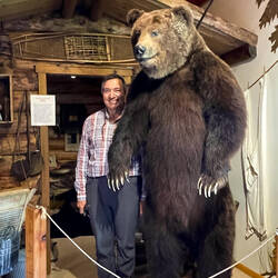 Mui making friends with a grizzly — Circle District Museum in Central, AK.