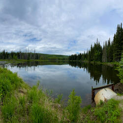 Beautiful pond-scape; too bad the moose didn't stick around — Chena Hot Springs Road, AK.
