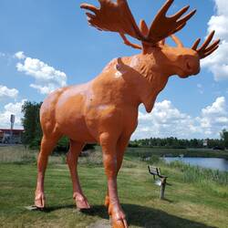 If you look carefully you will see the moose I spied