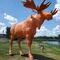 If you look carefully you will see the moose I spied