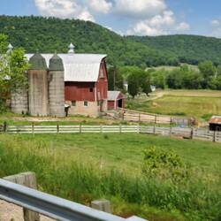 Very typical farm view
