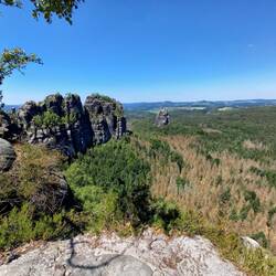 Ganz viel trockener & toter Wald