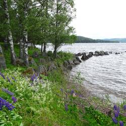 ... dienten einmal dazu, deutsche Panzer zurückzuhalten.