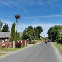 A storch's nest on almost each street light
