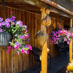 Colorful flower baskets on the port of the Knotty Shop — Richardson Hwy, AK.