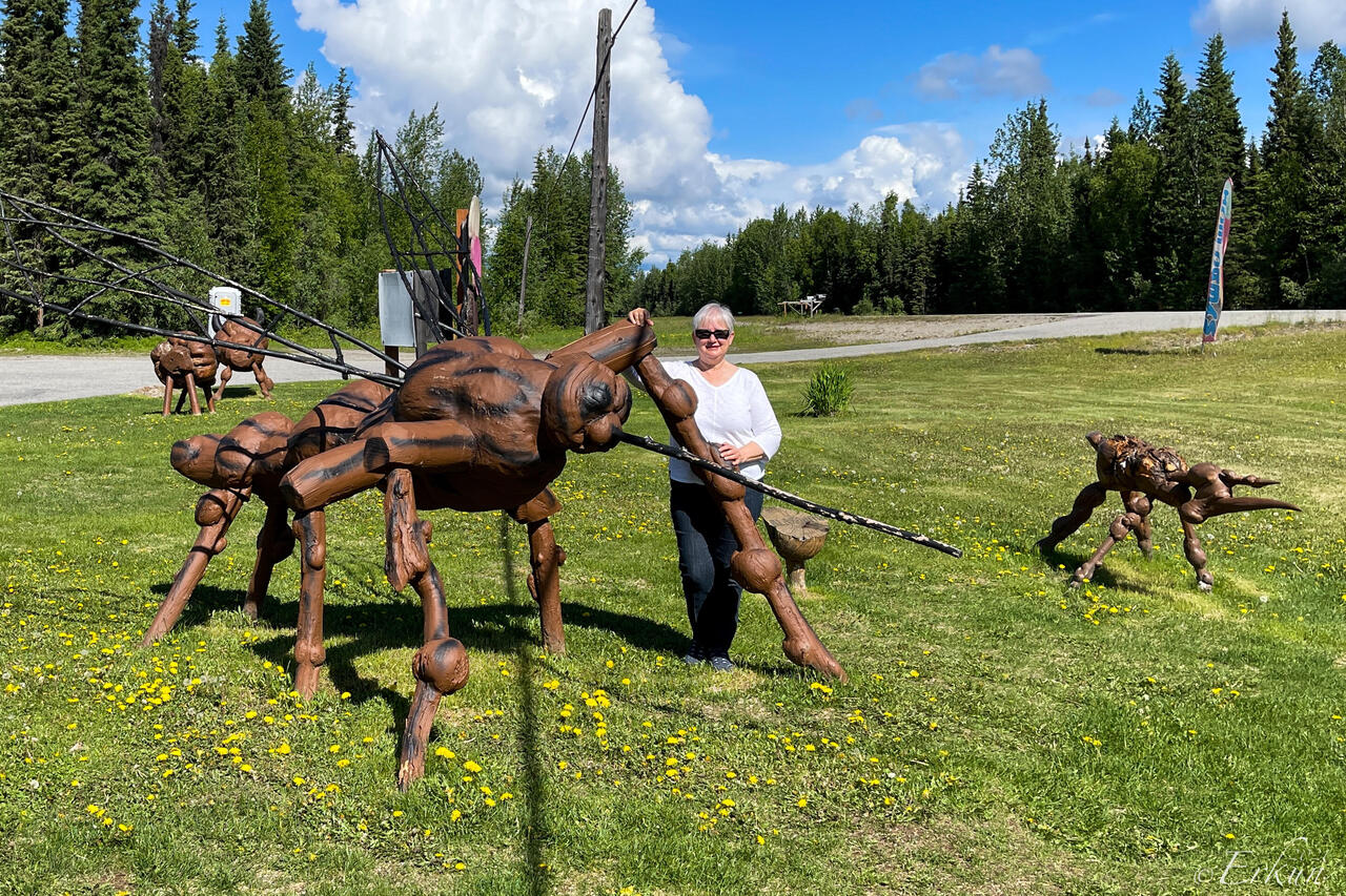 Meet "Alasquito" @ the Knotty Shop — Richardson Hwy, AK.