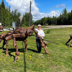 Meet "Alasquito" @ the Knotty Shop — Richardson Hwy, AK.
