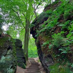Diese Treppen führten zum See runter