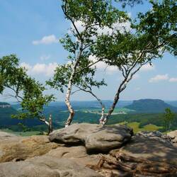 Links Festung Königstein + rechts Lilienstein