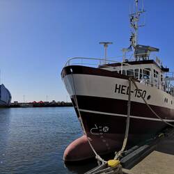 Hafen von Hel