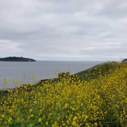 View from Pendennis head towards St Mawes