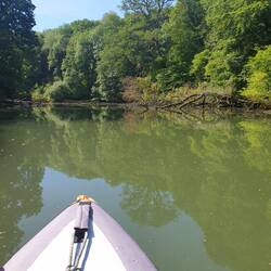 Not a ripple on the water