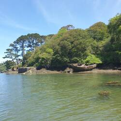 Is this the abandoned pirates ship!