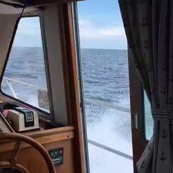 Such a smooth journey Sal buries herself in her book!