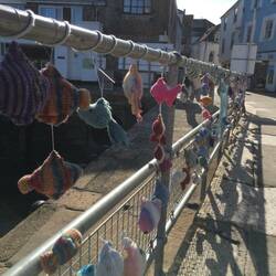 A lovely collection of knitted fish by the locals