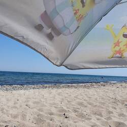 Beach Life