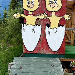 Chickens-to-be — Town of Chicken in Chicken, AK.