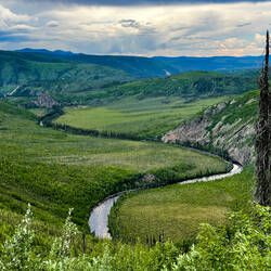 Fortymile River cutting through the valley below — Taylor Highway en route to Eagle.