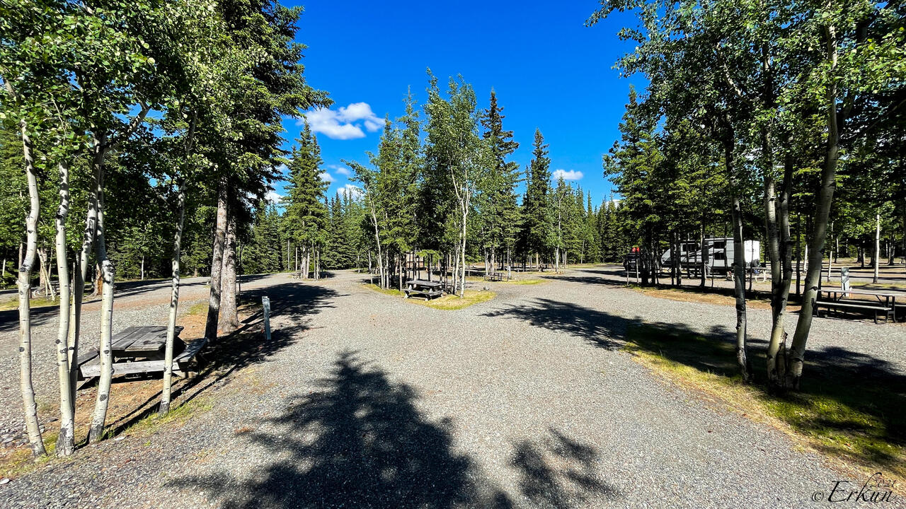 Tok RV Village ... the 30A section is all but empty — Tok, AK.