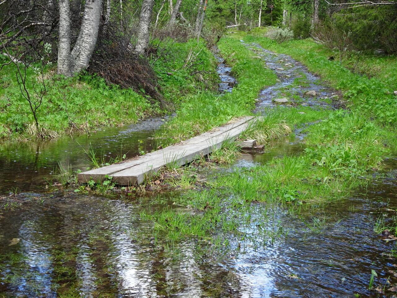 Der gesamte breite Wanderweg ist hier ein Bachbett.