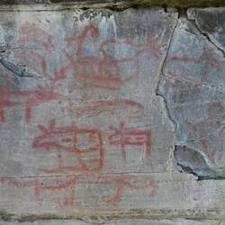 Es sind vor allem Elche, auch eine trächtige Elchkuh abgebildet.