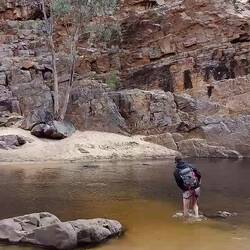 Safety Neal! Little River crossing at the end of the hike. Water was freezing 🥶