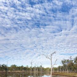 Clouds over Smoky Dam