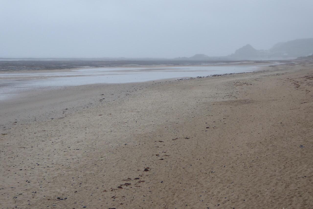 West coast beach
