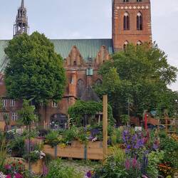 Vor der St. Jakobi Kirche zeigen die Lübecker ihren grünen Daumen