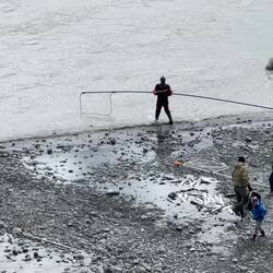A brief video showing dip-netting — Copper River in Chitina, AK.