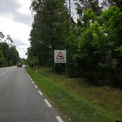 Wir haben eine Elch gesehen! Zumindest auf einem Straßenschild 🤣😉