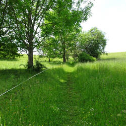 Aufstieg zum Hohenkarpfen