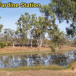 Jardine Lagoon