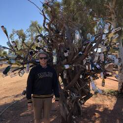 Bottle Tree
