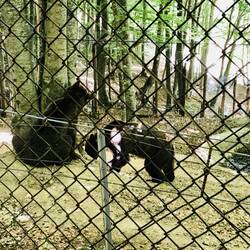 En tolli Tour nor för üs met velle spannende Infos