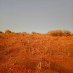 Golden hour sunset 😍 everything glows.