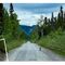 Following in the footsteps of a lynx near Lakina River — McCarthy Road, AK.