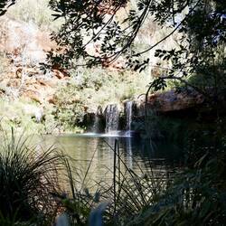 Fern Pool