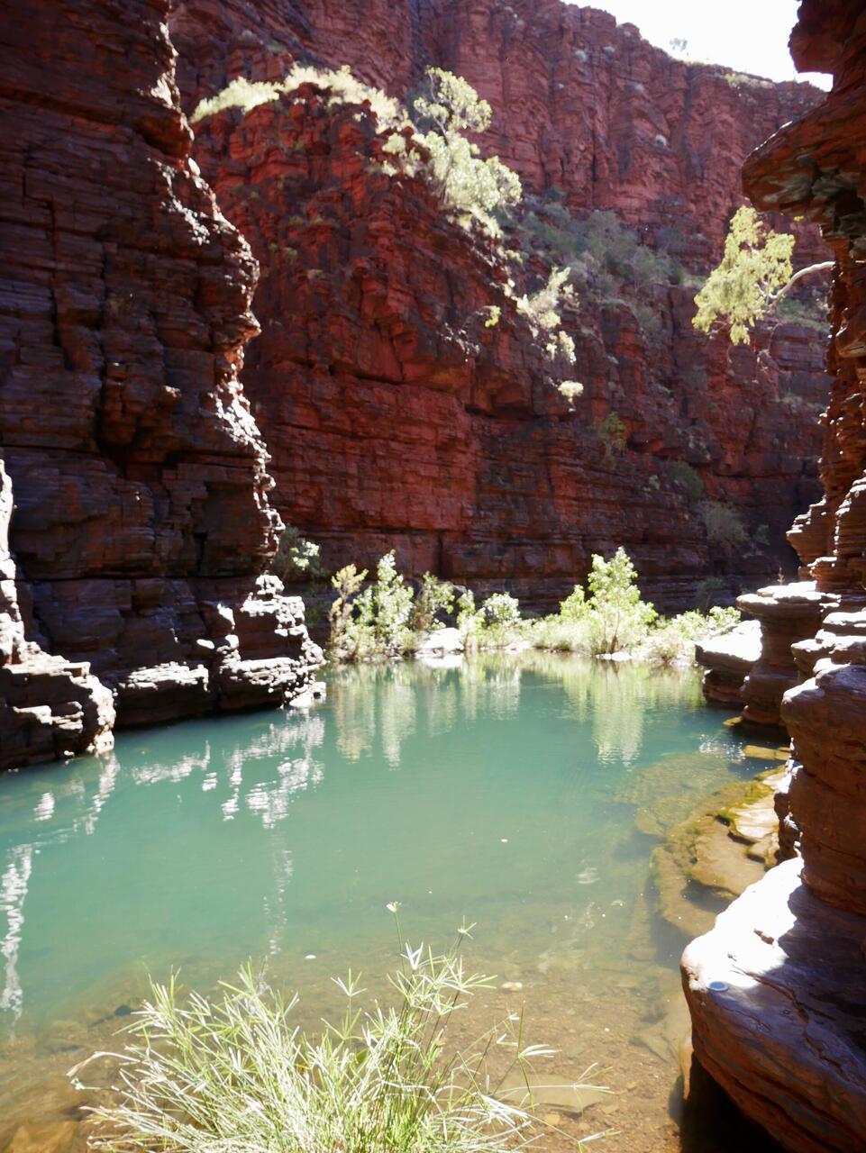 Swimming hole
