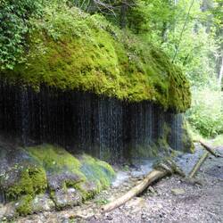 Waren leider zu viele Leute hier. Sonst hätte ich geduscht