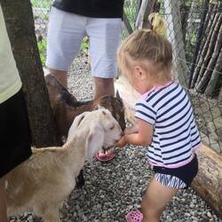 Und dazugehörigem Streichelzoo