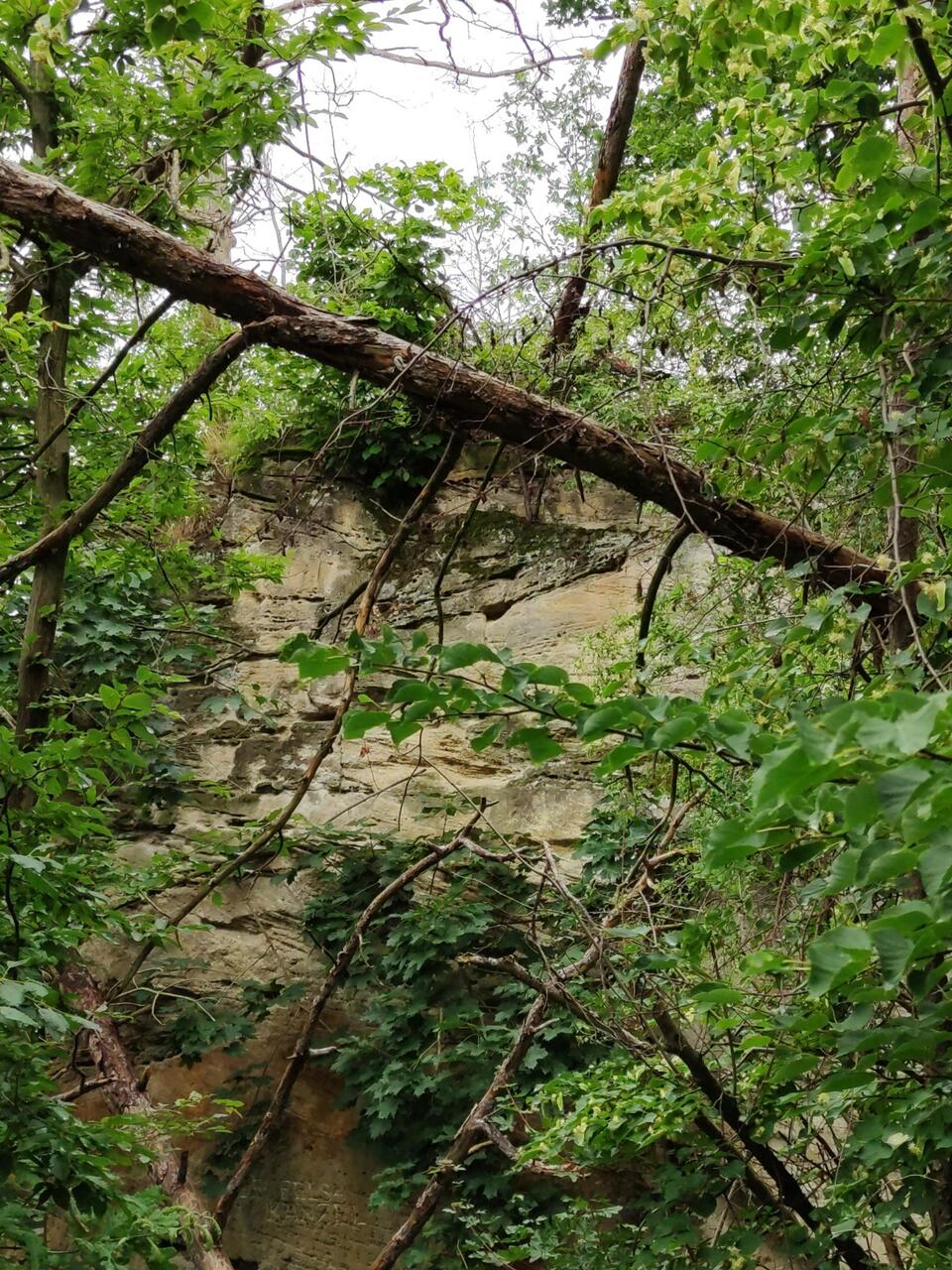 Teufelskanzel
