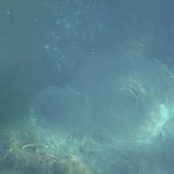 Da unten blubbert's. Besser sieht man's im Video.