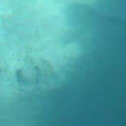 An verschiedenen Stellen strömt Wasser von unten in das Quellbecken.