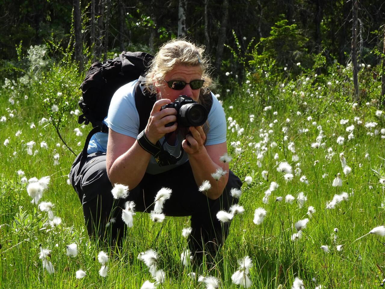 Fotografin im Wollgras