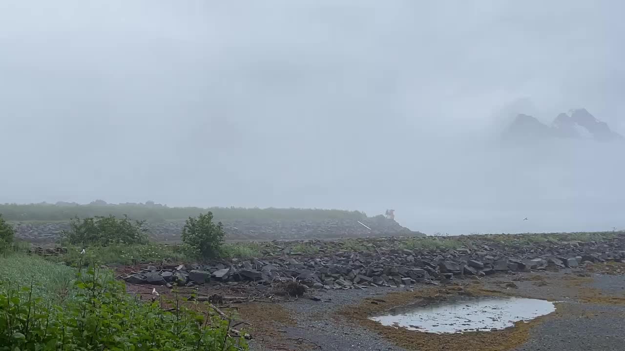 Fog and rain ... on and off ... all day — Valdez, AK.