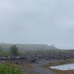 Fog and rain ... on and off ... all day — Valdez, AK.
