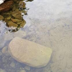 Glasklares Wasser am See