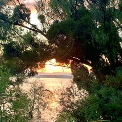 Unser kleiner Radausflug. Wie gern hötten wir den heute Nachmittag gemacht